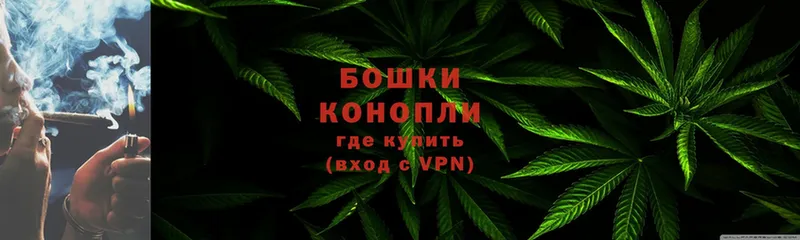 Бошки Шишки Amnesia  Вилюйск 